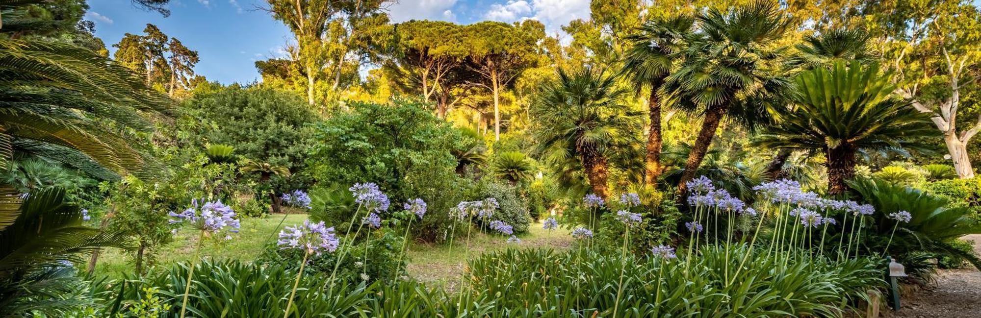 Hotel Palazzo Belmonte Santa Maria di Castellabate Esterno foto